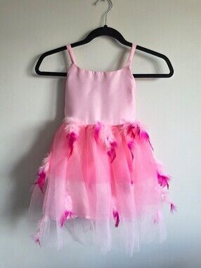 Pottery Barn Kids Pink Feather Tulle Dress Girls Size 4-6 Princess Party Dress